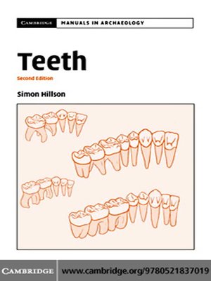 cover image of Teeth